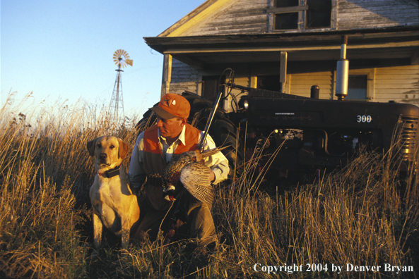 Upland bird hunter with yellow Labrador Retriever and game.