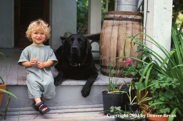 Black Labrador Retriever with child