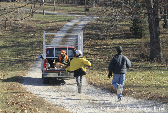 Young hunter with whitetail deer in truck.  Excited brothers chasing truck.