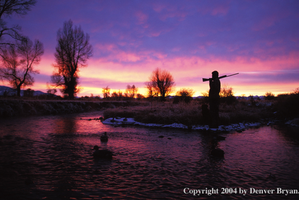 Waterfowl hunter.