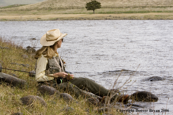 Woman flyfisher on the river in caddis fly hatch.  