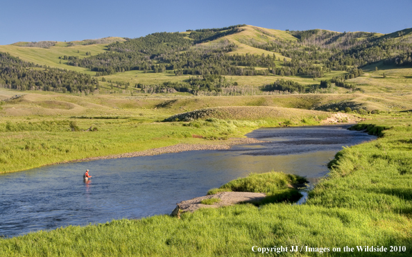 Slough Creek, Yellowstone National Park.