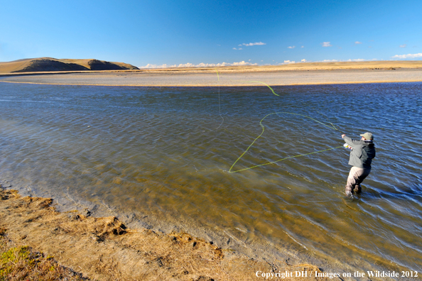 Flyfisherman casting. 