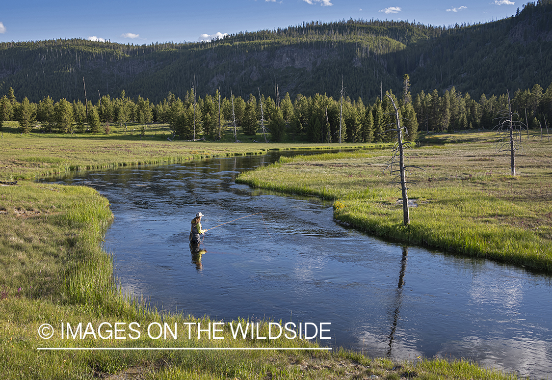 Flyfishing, Upper Firehole River, Yellowstone National Park.