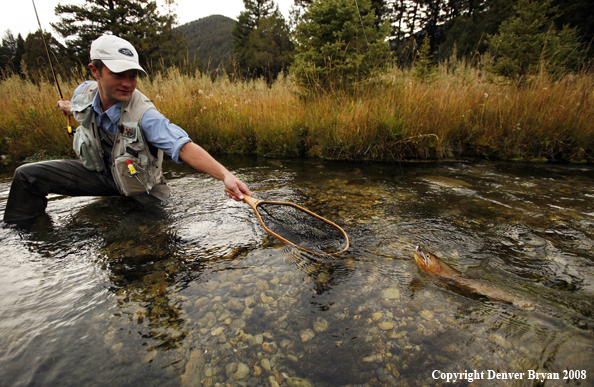 Flyfisherman Landing Cutthroat Trout