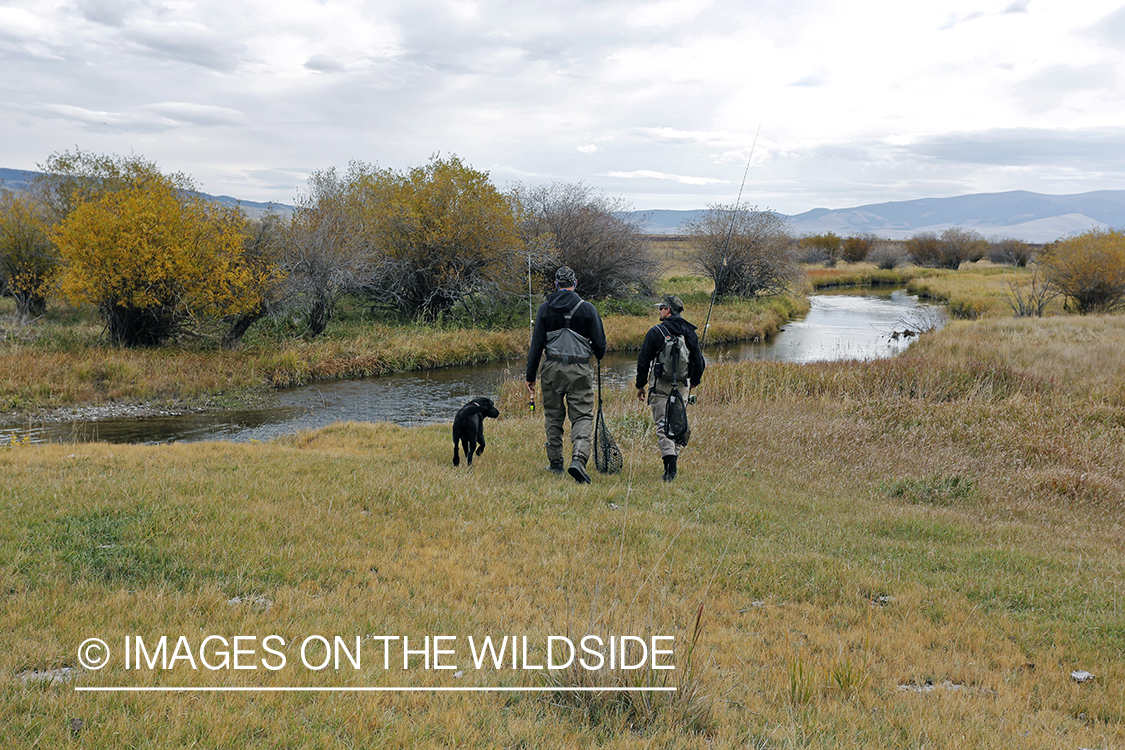 Flyfishermen in field.