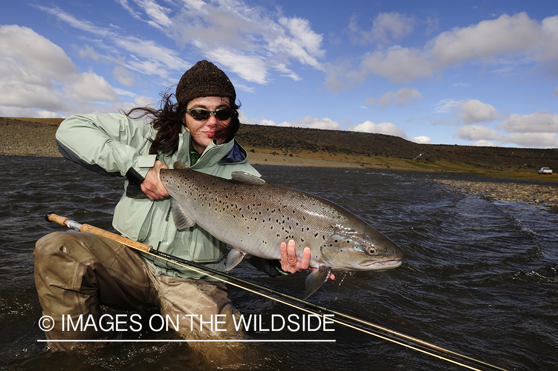 Flyfisherman with sea-run brown trout.