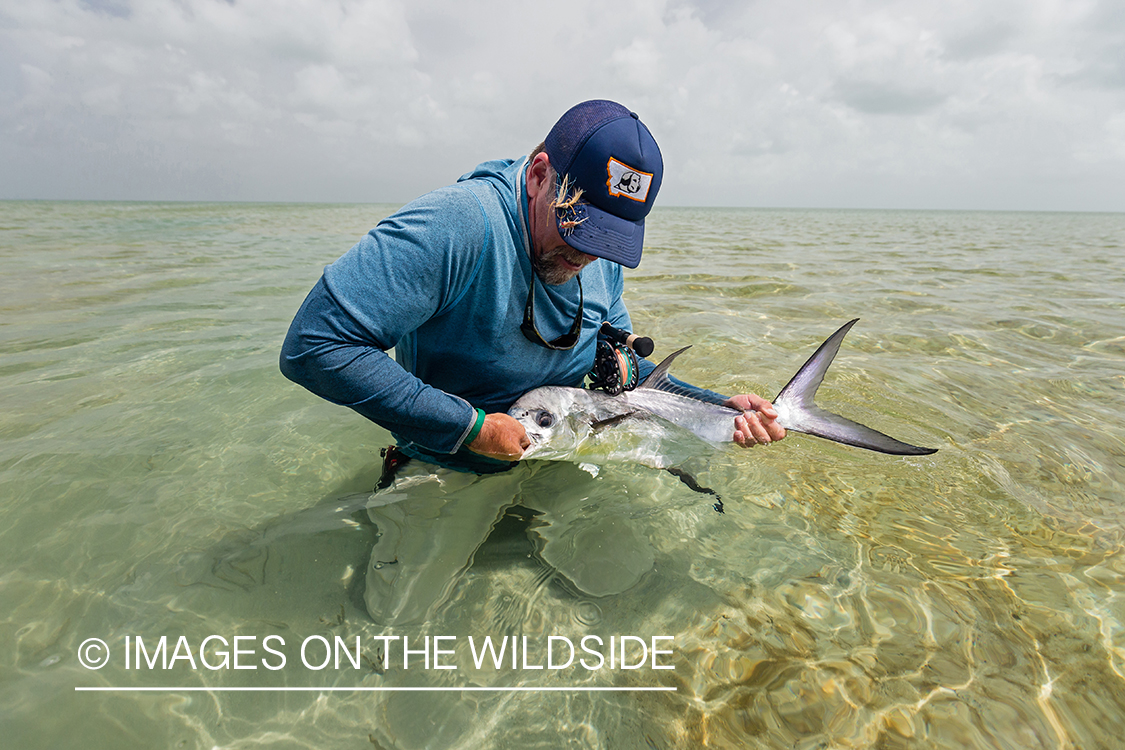 Flyfisherman releasing Permit.