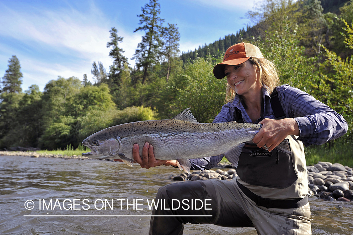 Woman flyfisher with steelhead catch. 