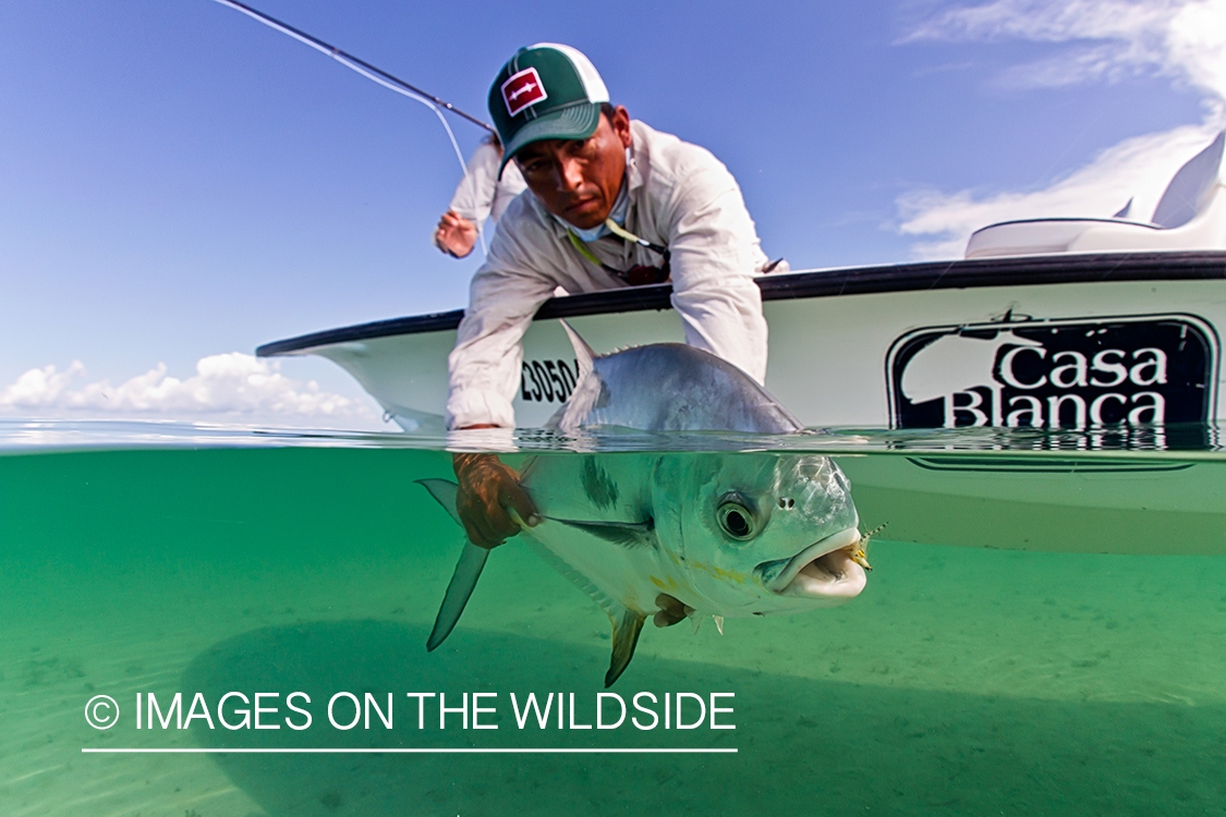 Flyfisherman releasing permit.