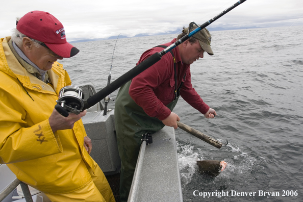 Fisherman landing a salmon.  