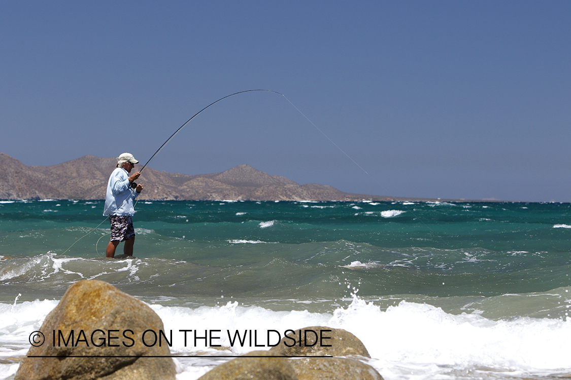 Flyfisherman fishing for roosterfish on beach.