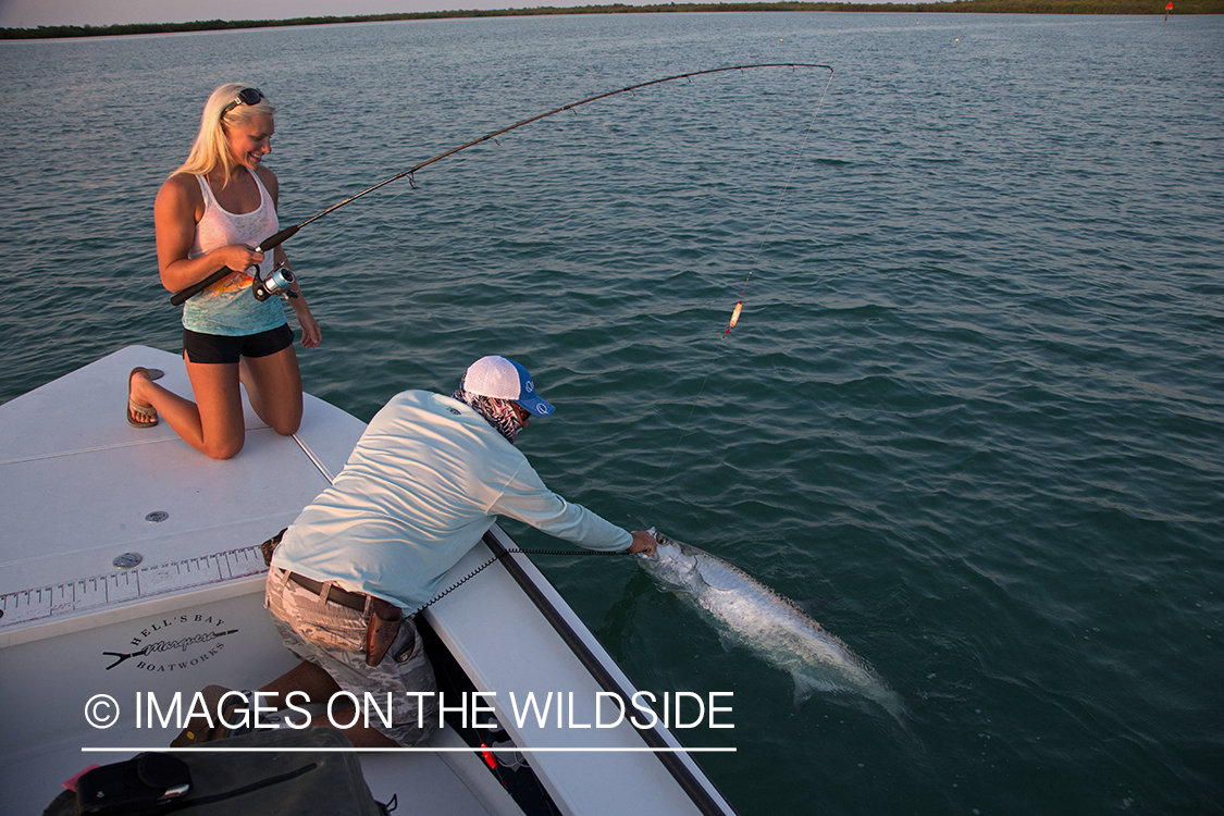 Saltwater fly fisherwoman with tarpon on line.