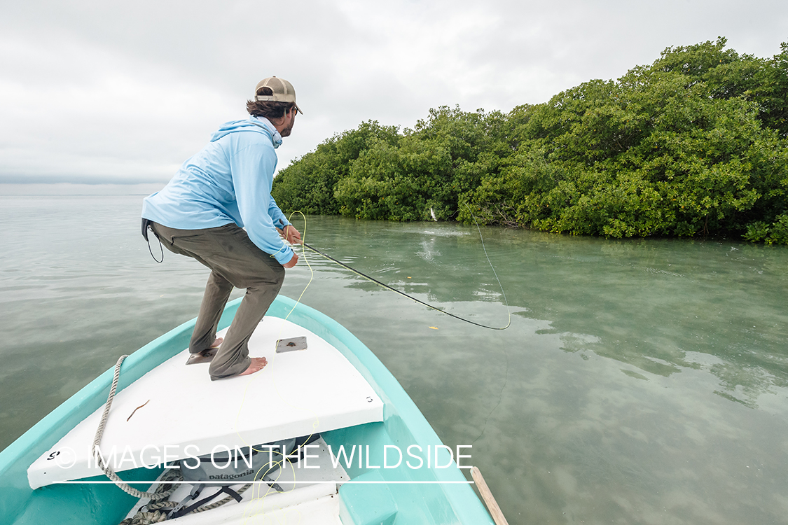 Flyfisherman fighting fish in Belize.