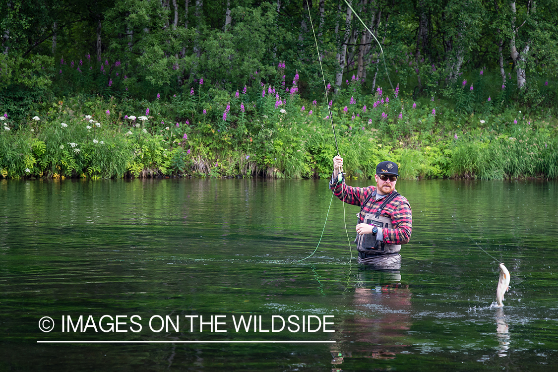 Flyfisherman fighting fish on the Sedanka river in Kamchatka Peninsula, Russia. 