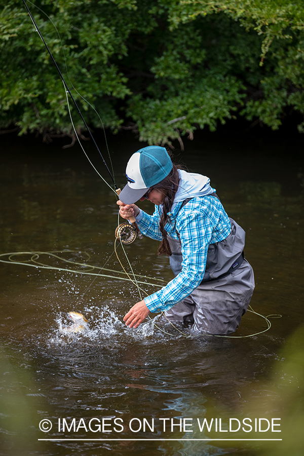 Woman fly fishing guide(Marcela Appelhanz) on stream.