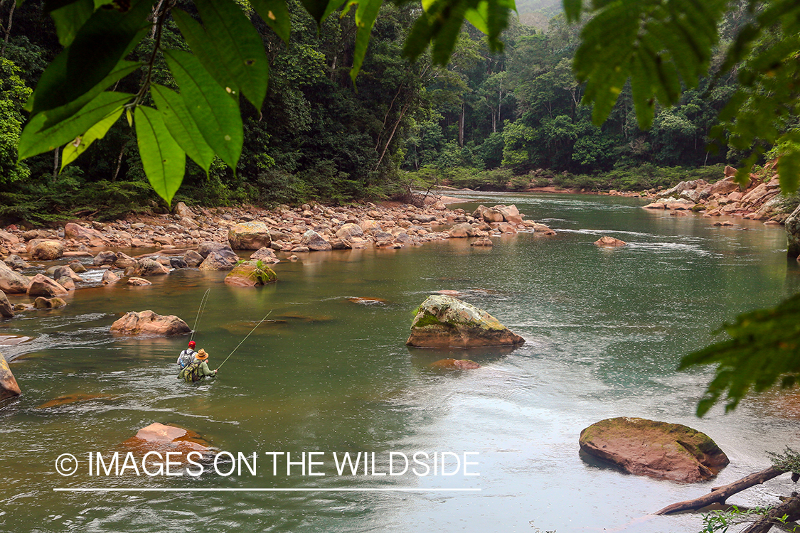 Flyfishermen scouting for Golden Dorado.