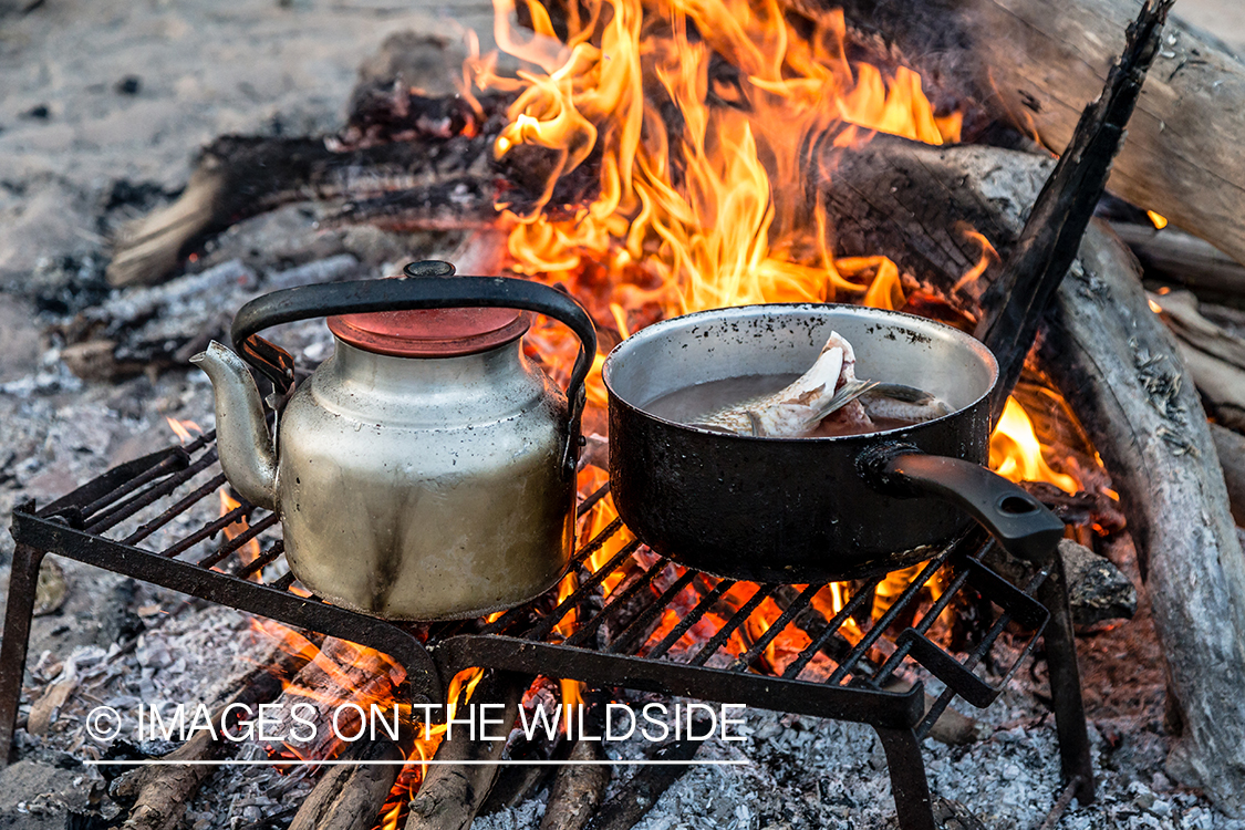 Flyfishing for Golden Dorado in Bolivia. (dinner over fire)