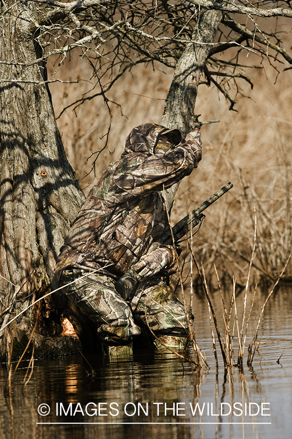 Waterfowl hunter waterfowl calling in wetlands.