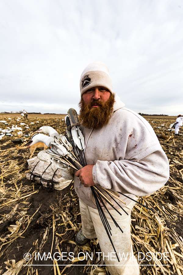 Hunter packing up after day of goose hunting.
