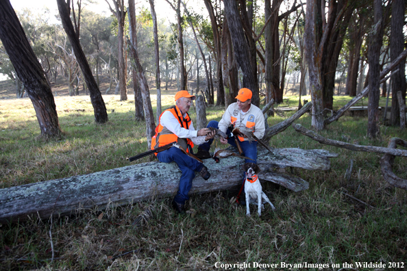 Upland game hunters with English pointer and bagged pheasants. 