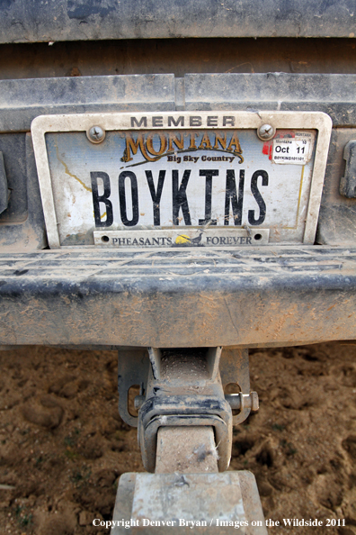 Upland game bird hunter's license plate.