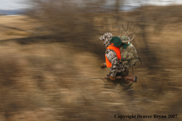 Mule deer hunter in field.