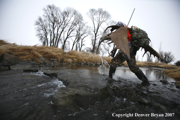 Moose hunter in field