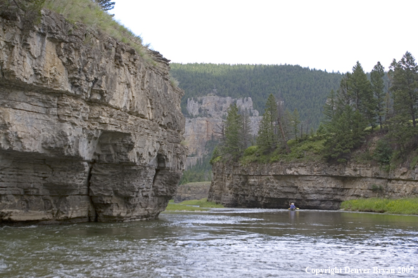 Flyfisherman on Smith River.