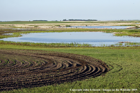 Wetlands near crop fields