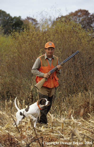 Upland game bird hunter with dog hunting.