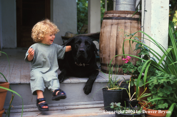 Black Labrador Retriever with child