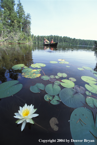 Father and son fishing from canoe.