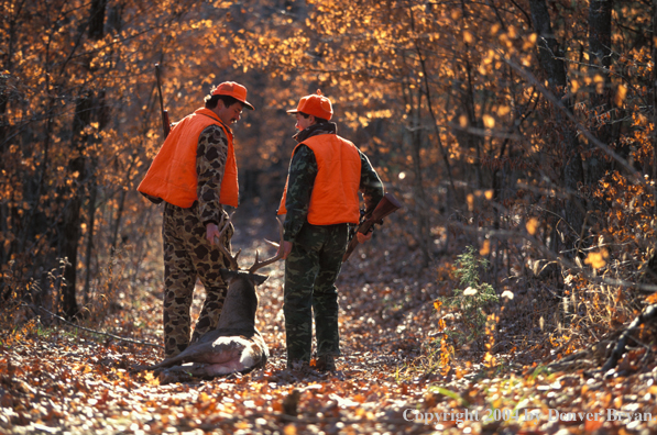 Father and son dragging white-tailed deer.