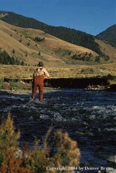 Flyfisherman casting in river.