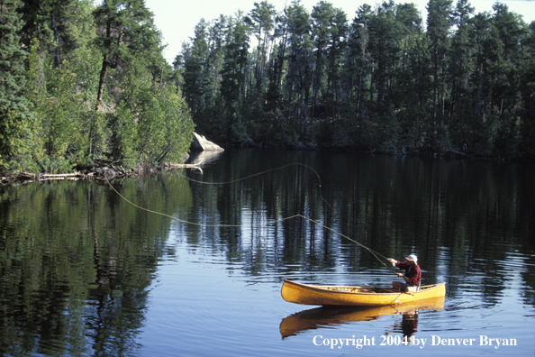 Flyfisherman fishing from cedar canoe.