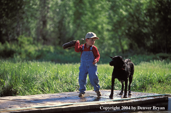 Black Labrador Retriever playing with boy