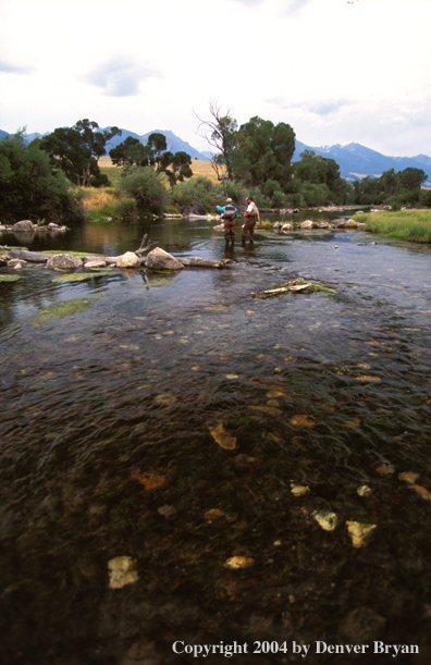 Flyfishermen fishing a river.