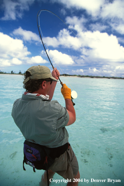 Saltwater flyfisherman fighting fish.