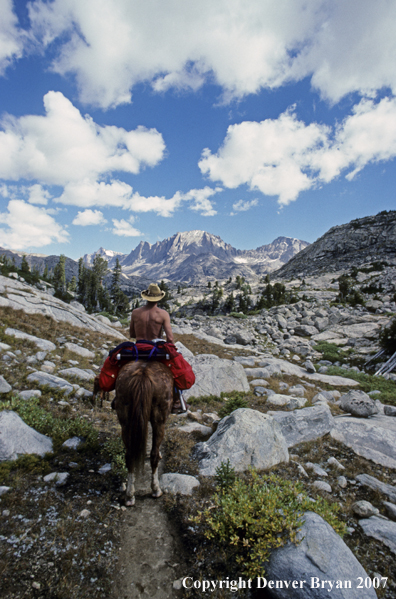 Horsepacking on trail through mountains.