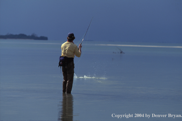 Saltwater flyfisherman fighting bonefish.