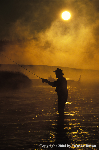 Freshwater Flyfisherman in river fishing.