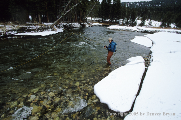 Female flyfisher selecting flies.