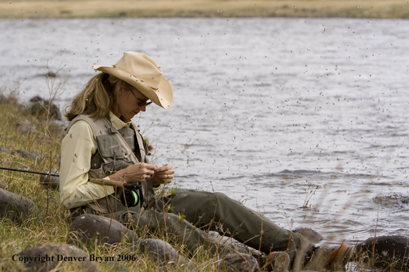 Woman flyfisher on the river in caddis fly hatch.  