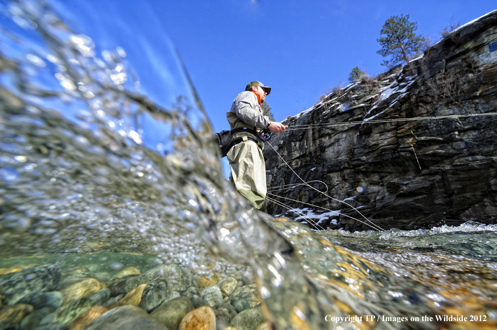 Fly Fisherman fishing a stream.