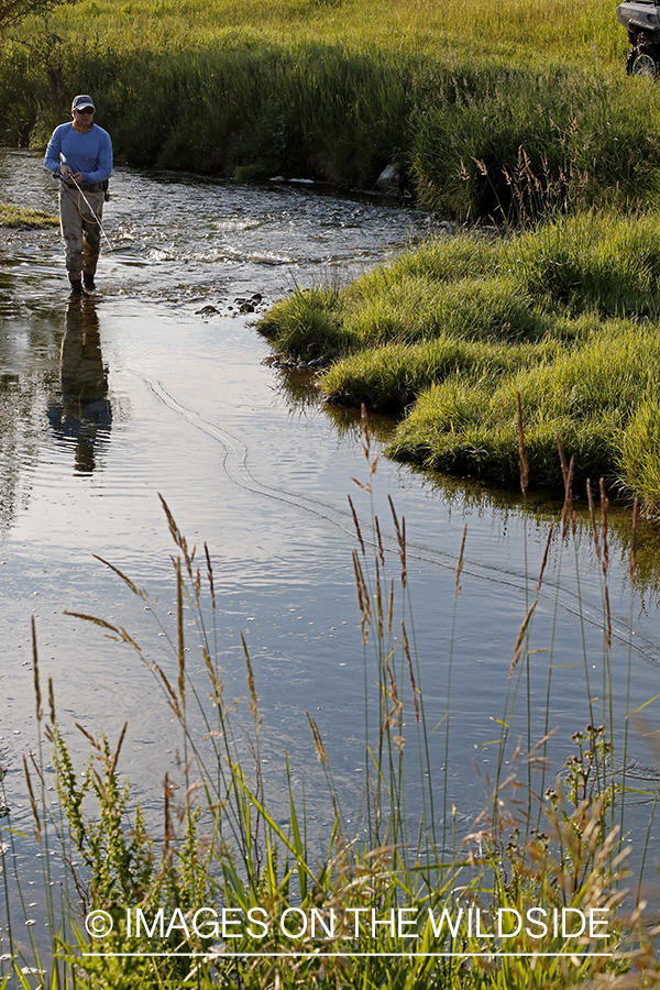 Fisherman casting line in stream.