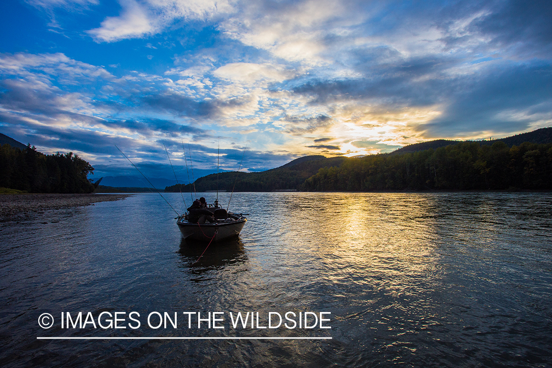 King salmon fishing in Chile.