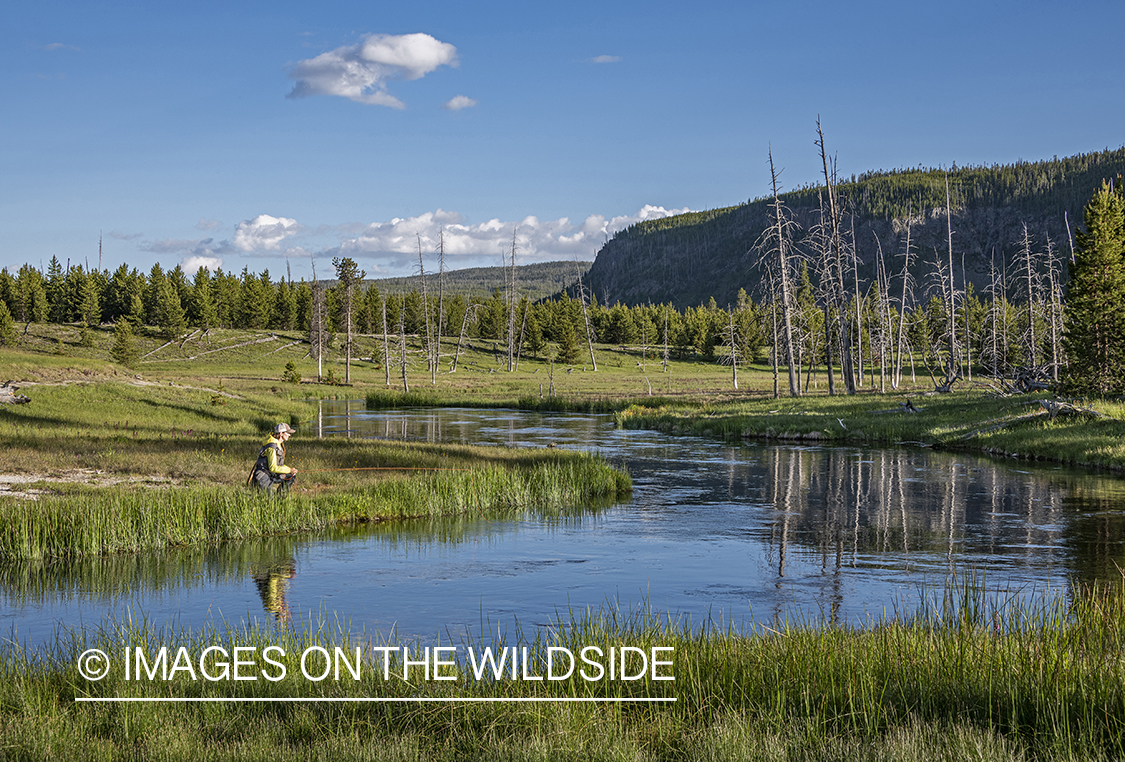 Flyfishing, Upper Firehole River, Yellowstone National Park.