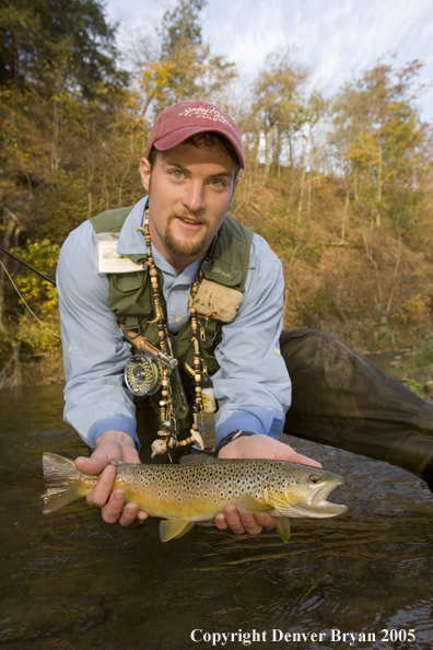 Close-up of nice brown trout.