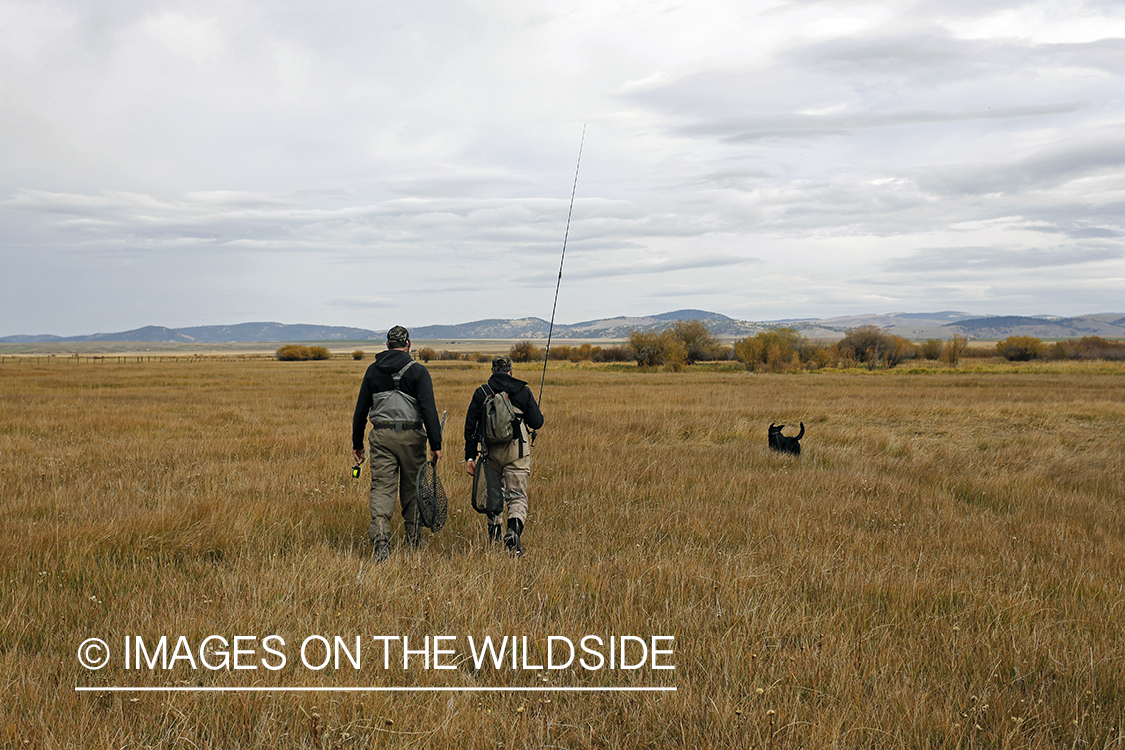 Flyfishermen in field.